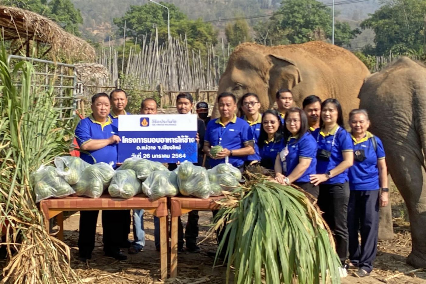 วิริยะประกันภัย ร่วมสนับสนุนอาหารช้าง ศูนย์อนุรักษ์ช้างไทย เชียงใหม่